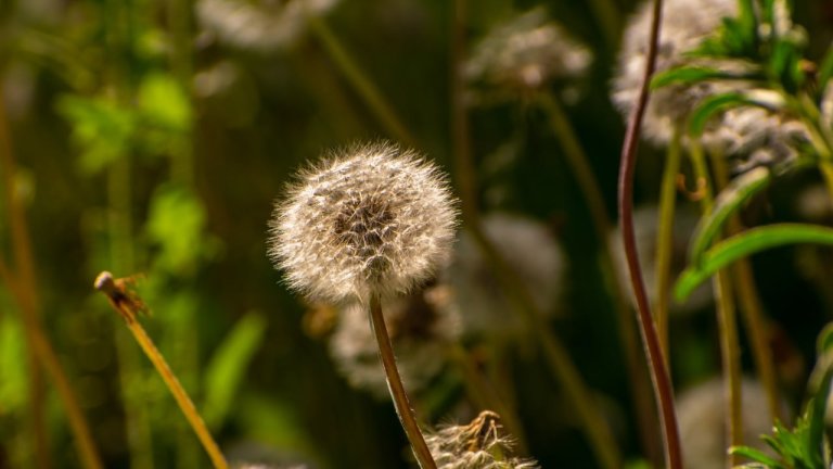 "По весточке": время удивляться